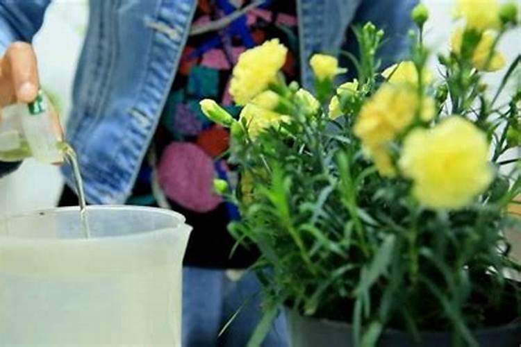 大量元素水溶肥料多少钱一要几天才能配土