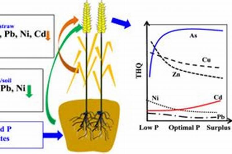 农业用肥主要危害元素