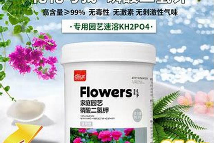 花多多15号适合浇什么花