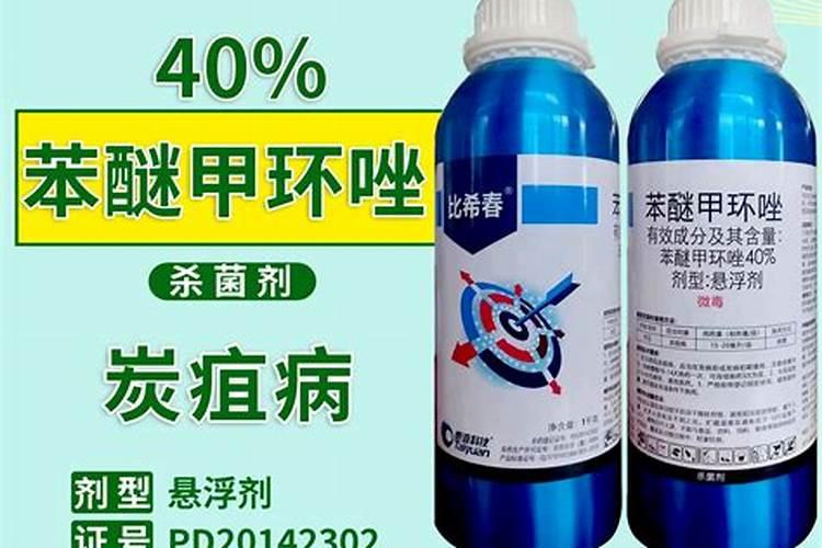 柑橘果表皮发黑用什么药