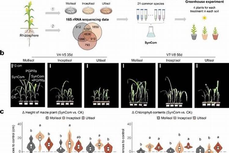 土壤增肥的7个方法