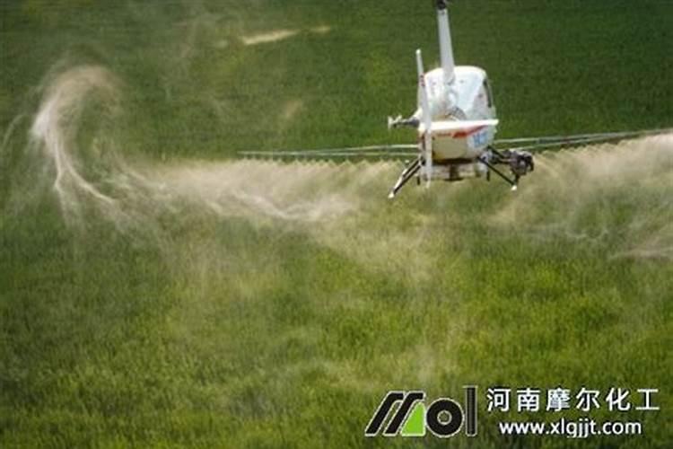 农用防裂果用什么钙最好