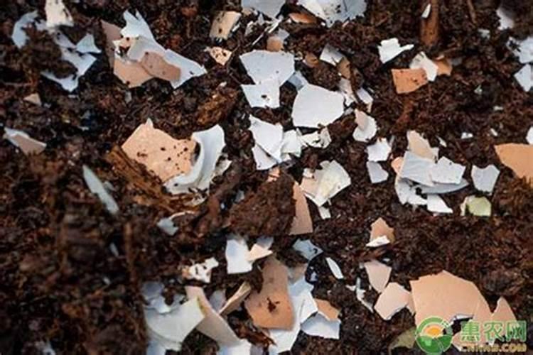 钾肥有哪些种类 钾肥的功效和使用方法