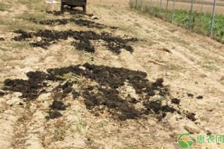 生物菌肥多少钱一吨？