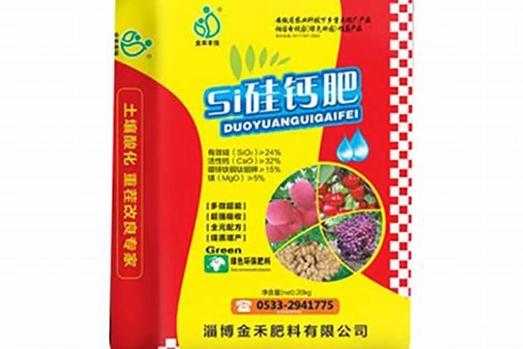 晒田后施什么肥最正确答案