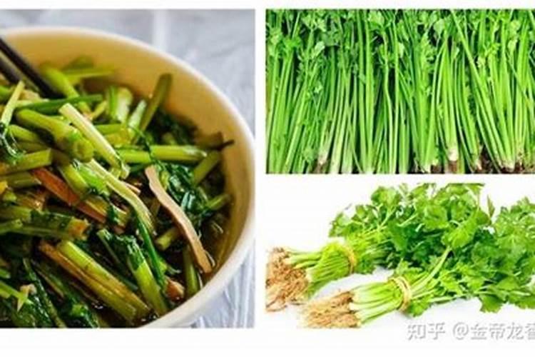 芹菜心叶变红色