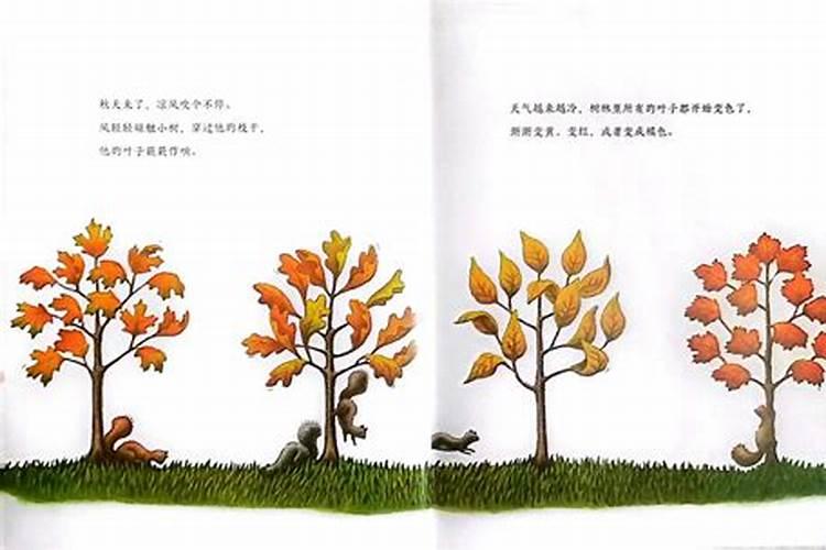 小树怎样生根快杀虫如何使树木快速生根