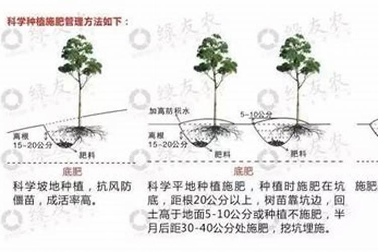 农药与芸苔素混用会降低或消除药效呢？