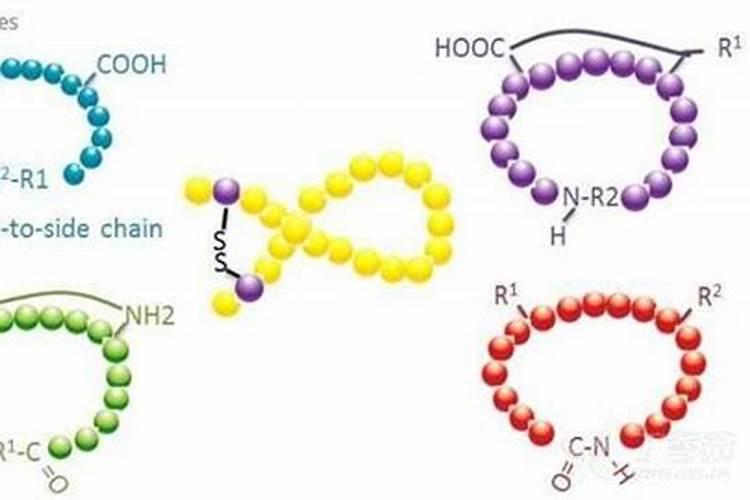 多肽氨基酸原粉用于肥料生产的建议参考配比!