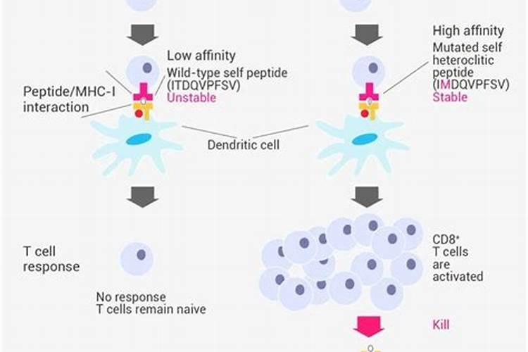 多肉防冻剂有用吗