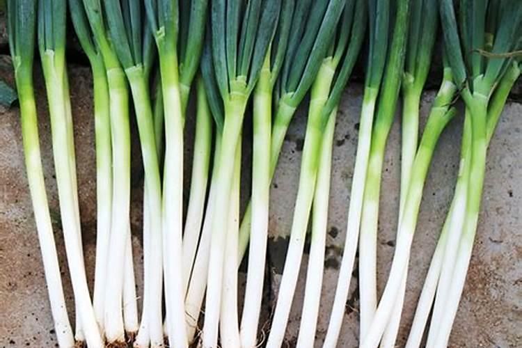 种植大葱用什么肥最好？