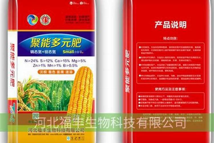 北海道冬青施什么肥最好