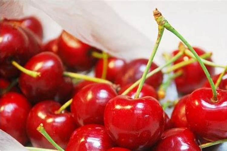 杨梅树的施肥时间