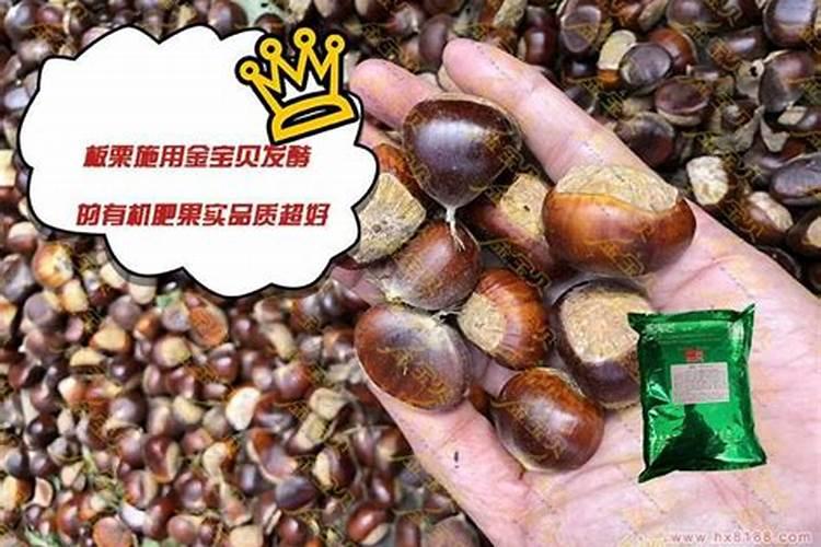 板栗园如何施用硼肥？