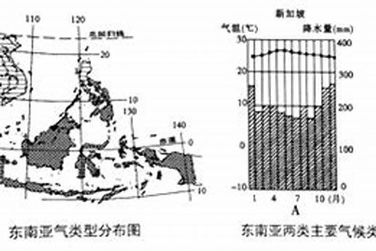 紫薇树几年开花？