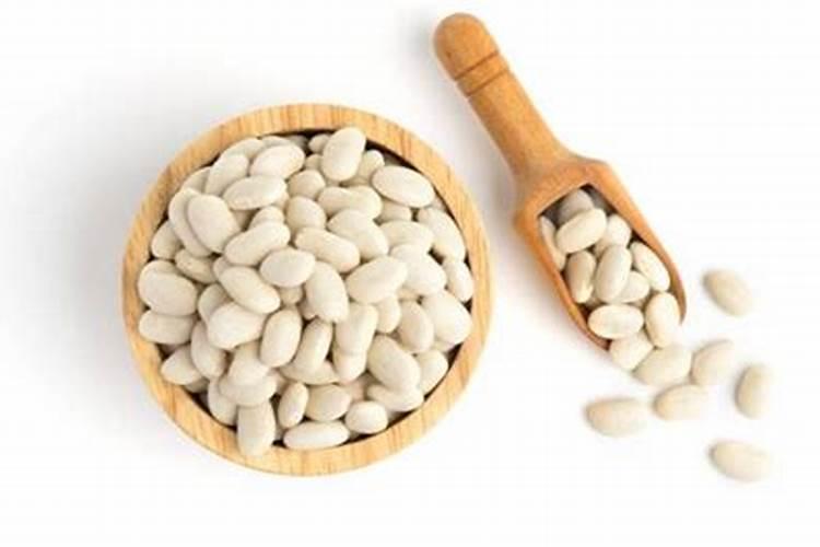 白芸豆种植技术与管理 白芸豆种植方法