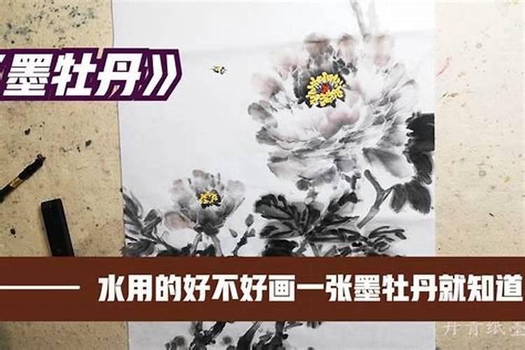 哪些花喜欢尿素肥