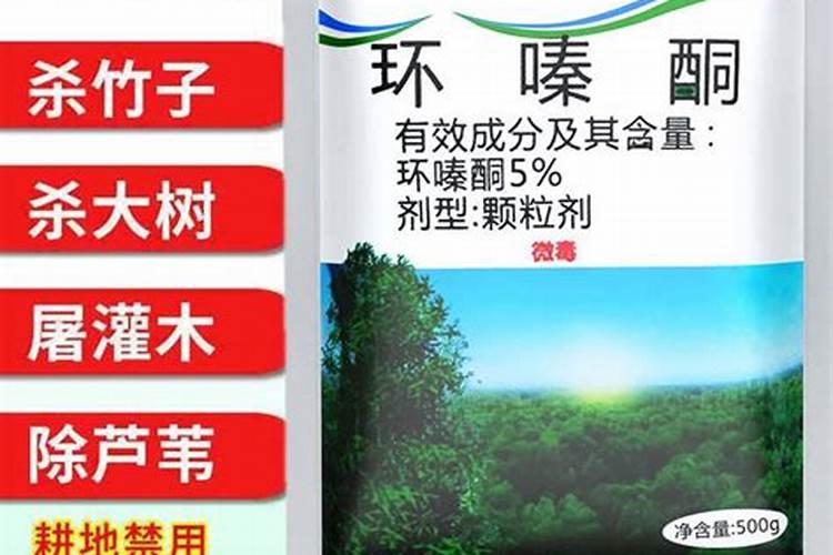 什么果树越老越好吃