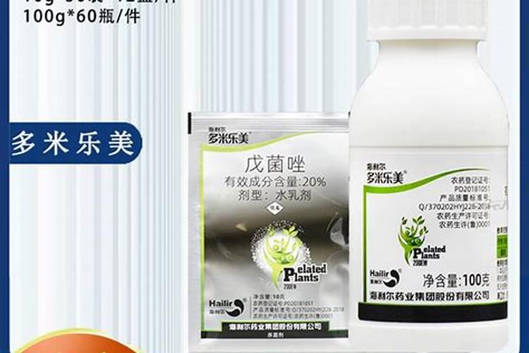 观赏凤梨催花方法