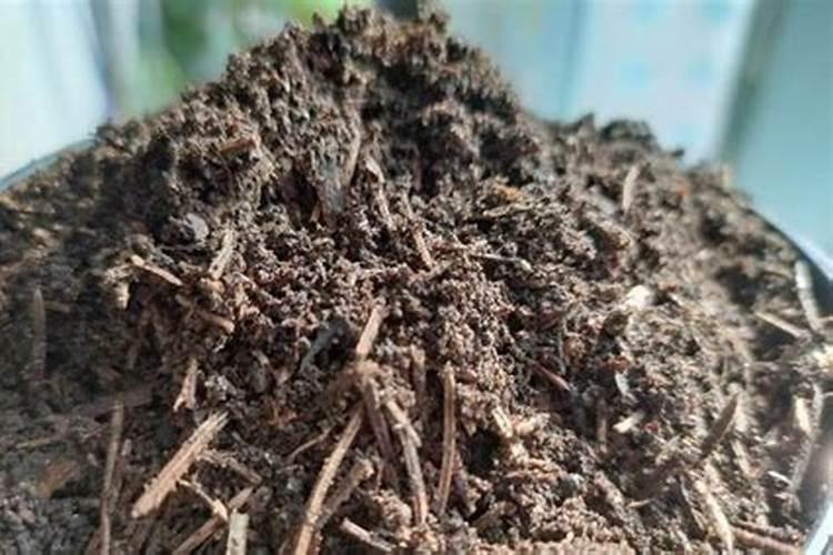 腐殖土氮磷钾含量