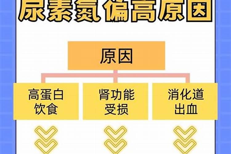 可以给茶花浇灌尿素吗