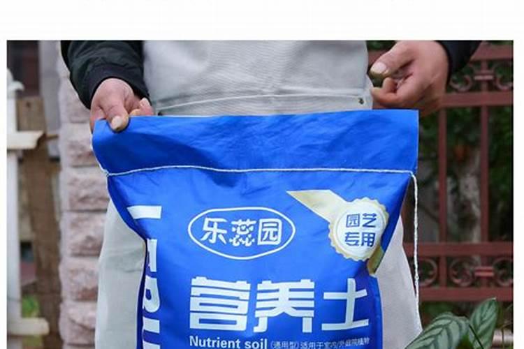 锯断的发财树可以生根吗,如何生根？