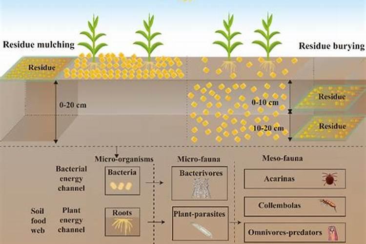 磷酸二氢钾浇西瓜能三天一次吗？