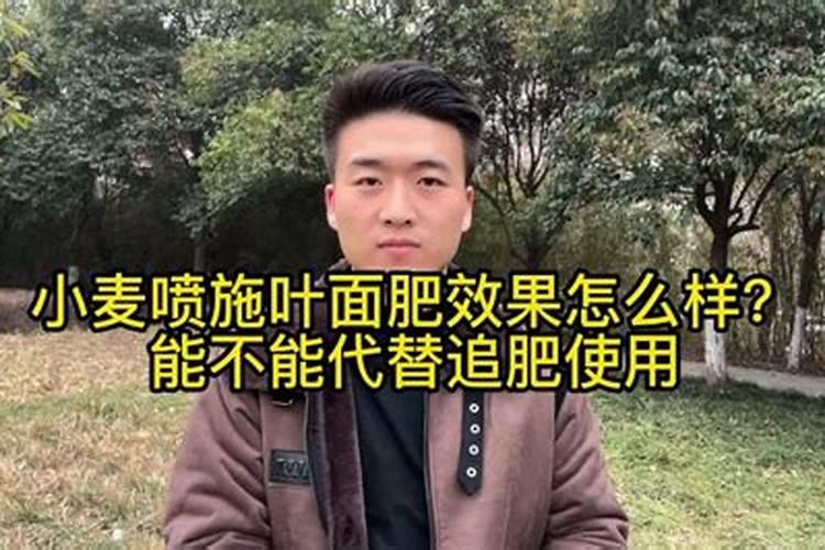 小麦用叶面肥好处哪些