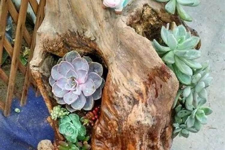 腐烂的木头可以做肥料吗