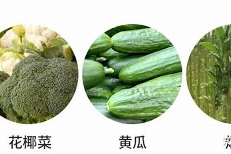 水溶肥是什么肥料