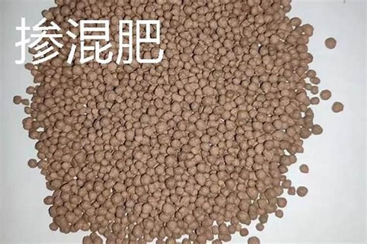 第一年阳光玫瑰栽培养殖方法 阳光玫瑰第一年怎么养殖