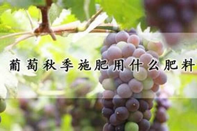 高血压患者的救星——DASH饮食法,这5类食物多吃可以控血压