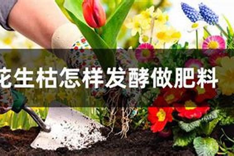 花生枯怎么肥地