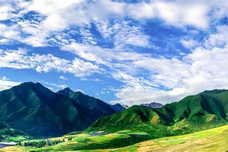 木醋液水溶肥新疆采购价格