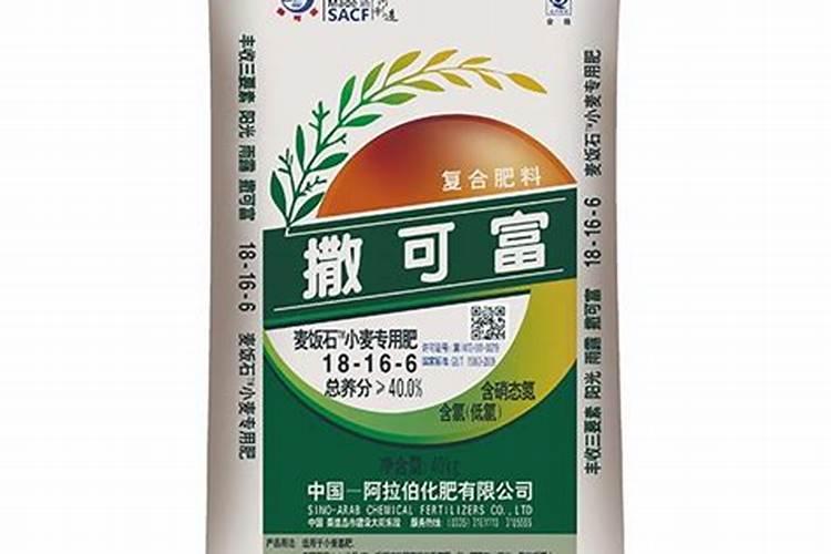 水稻秧苗怎么管理提高分蘖