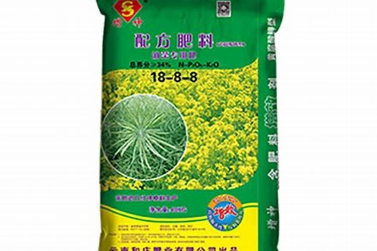 玫瑰鲜切花的种植方法及养护
