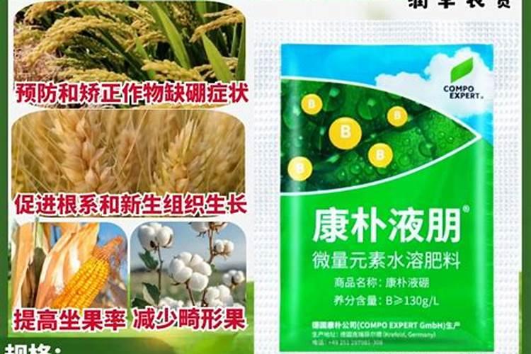 硼肥对小麦的作用与功效