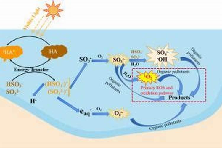 腐植酸与黄腐酸哪个肥效好？
