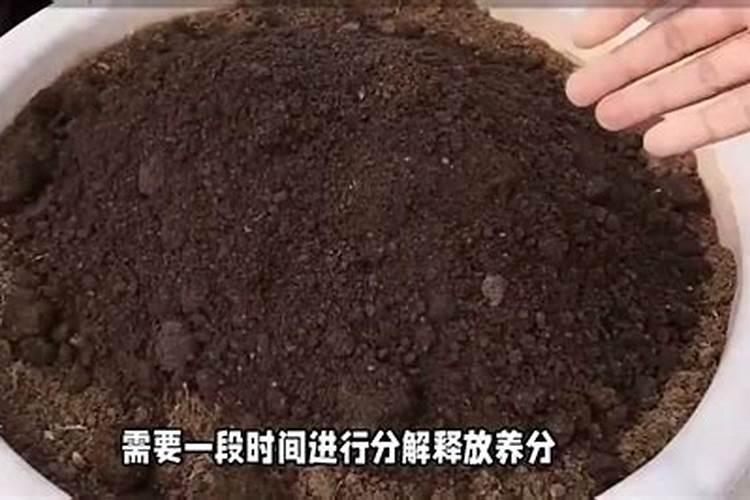 地里撒了复合肥要过多久才能种菜