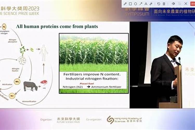 白芍可以套种豆子吗