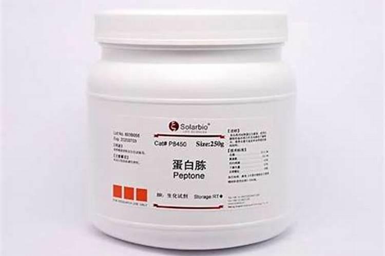 蛋白胨的定义及品类的详细解析