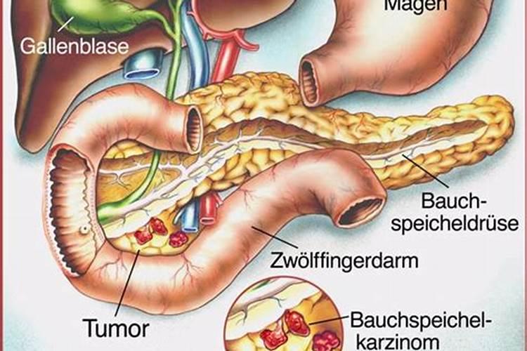 创伤弧菌:生态分布、致病特性与实验室诊断