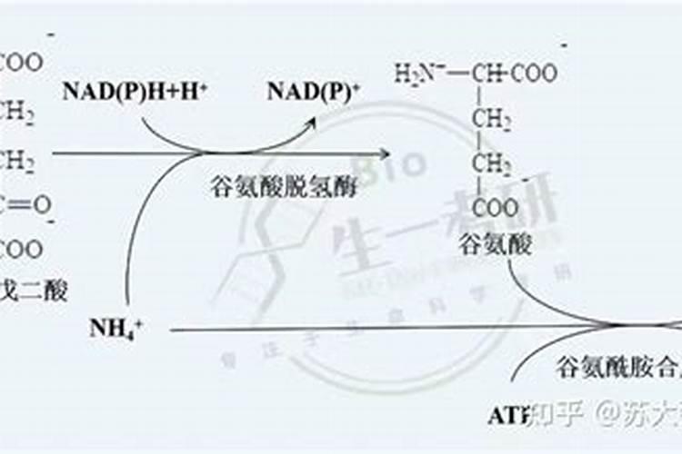 含氨基酸水溶肥是氮肥吗？
