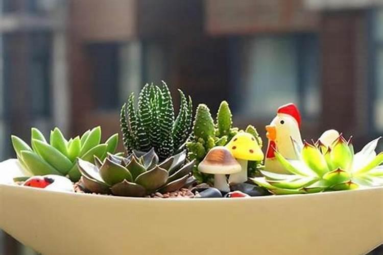 叶面肥配方一览表