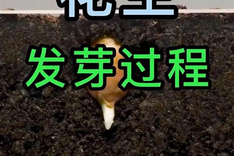 磷肥对果树的作用是什么 能够促进花芽分化