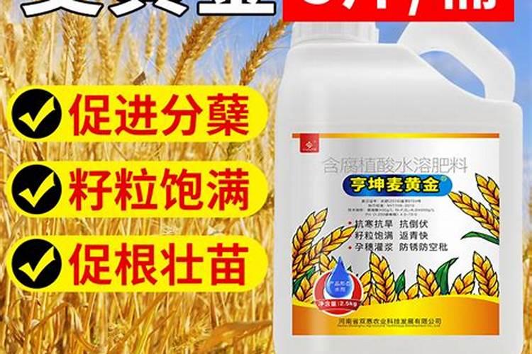 麦黄金叶面肥功效与作用