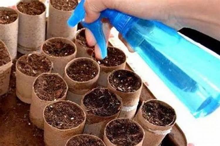 氮肥可以兑水浇花吗