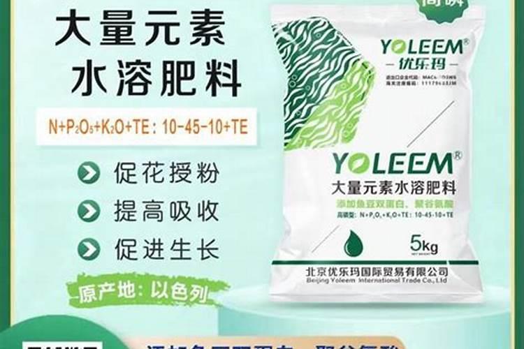 河源哪里有鱼宝宝饲料卖