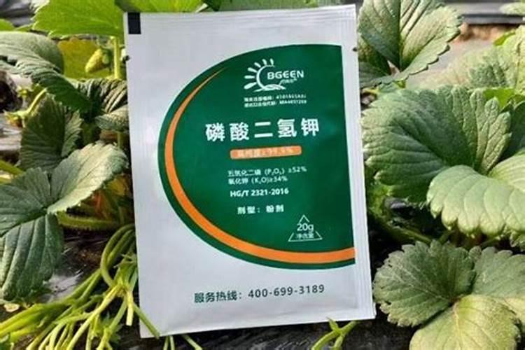 磷酸二氢钾用量大了怎么补救,症状是什么