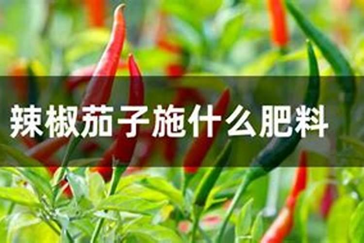 辣椒底肥用二铵40公斤可以吗